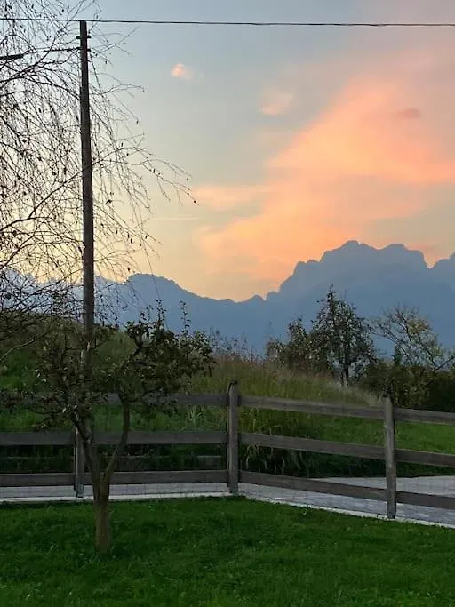 Dolomitiwoodyhouse Villa Limana Holiday home