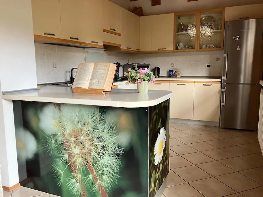 Holiday home Dolomitiwoodyhouse Villa Limana