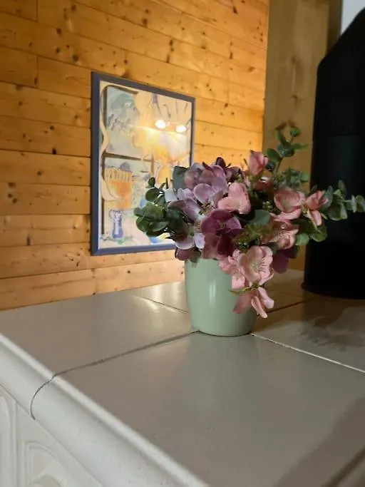 Dolomitiwoodyhouse Villa Limana Holiday home